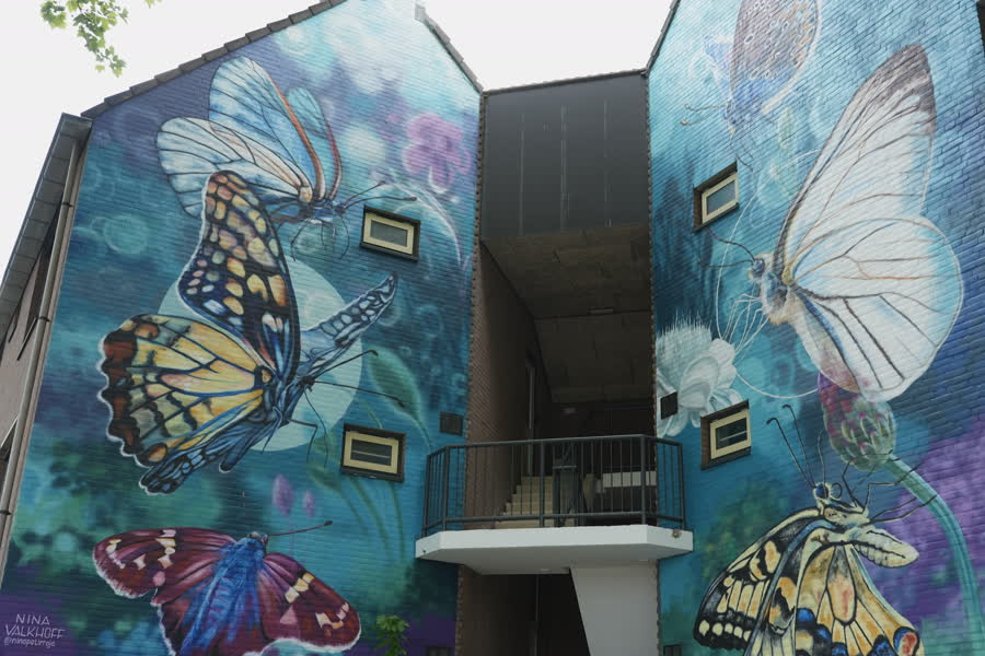 LINQ Media tweet media