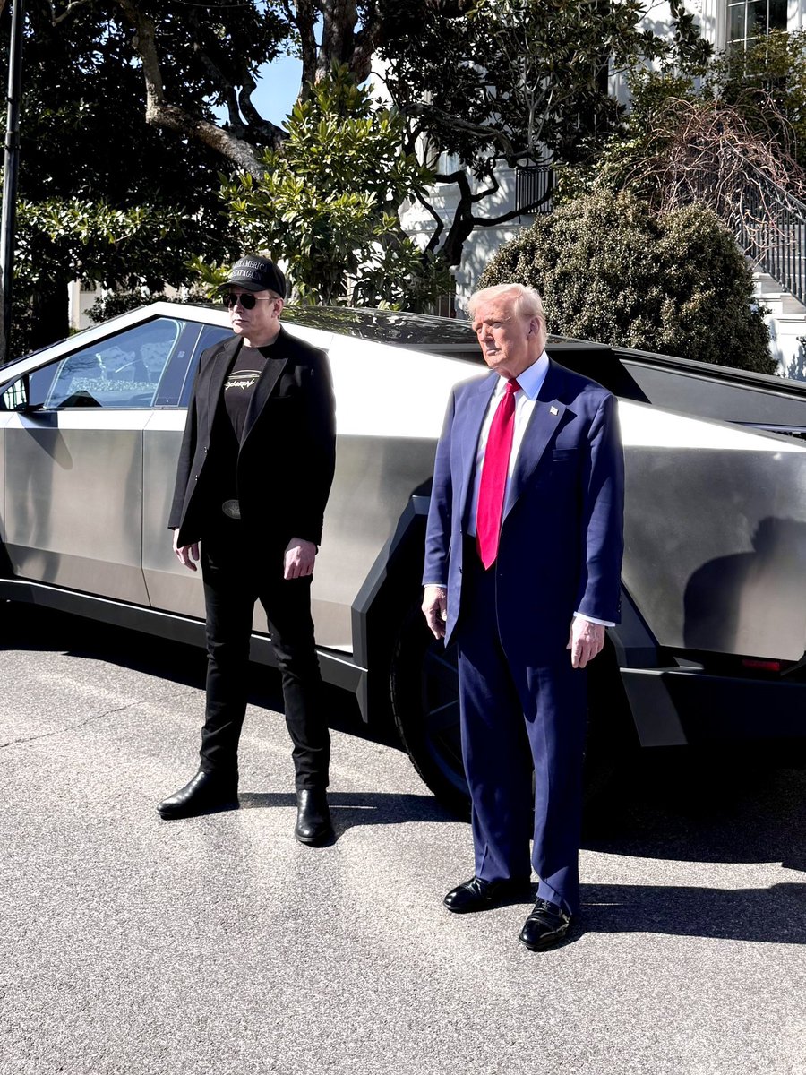 DogeDesigner tweet media