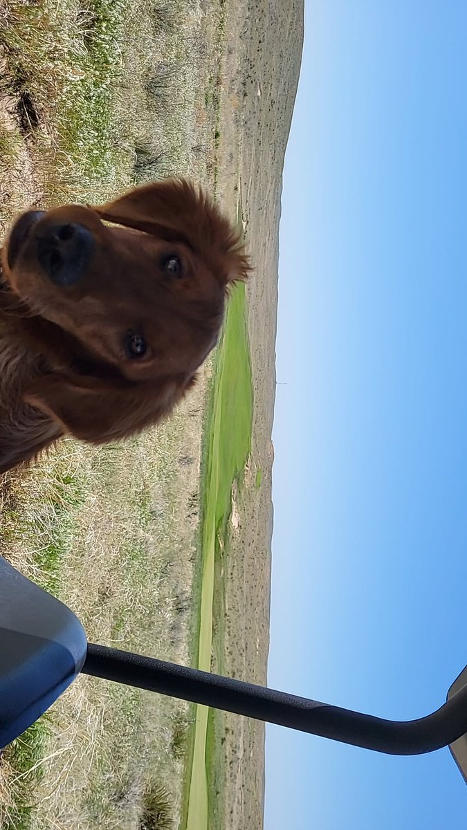 Cordlwalker's tweet image. The look I get every day when it&apos;s time to go home