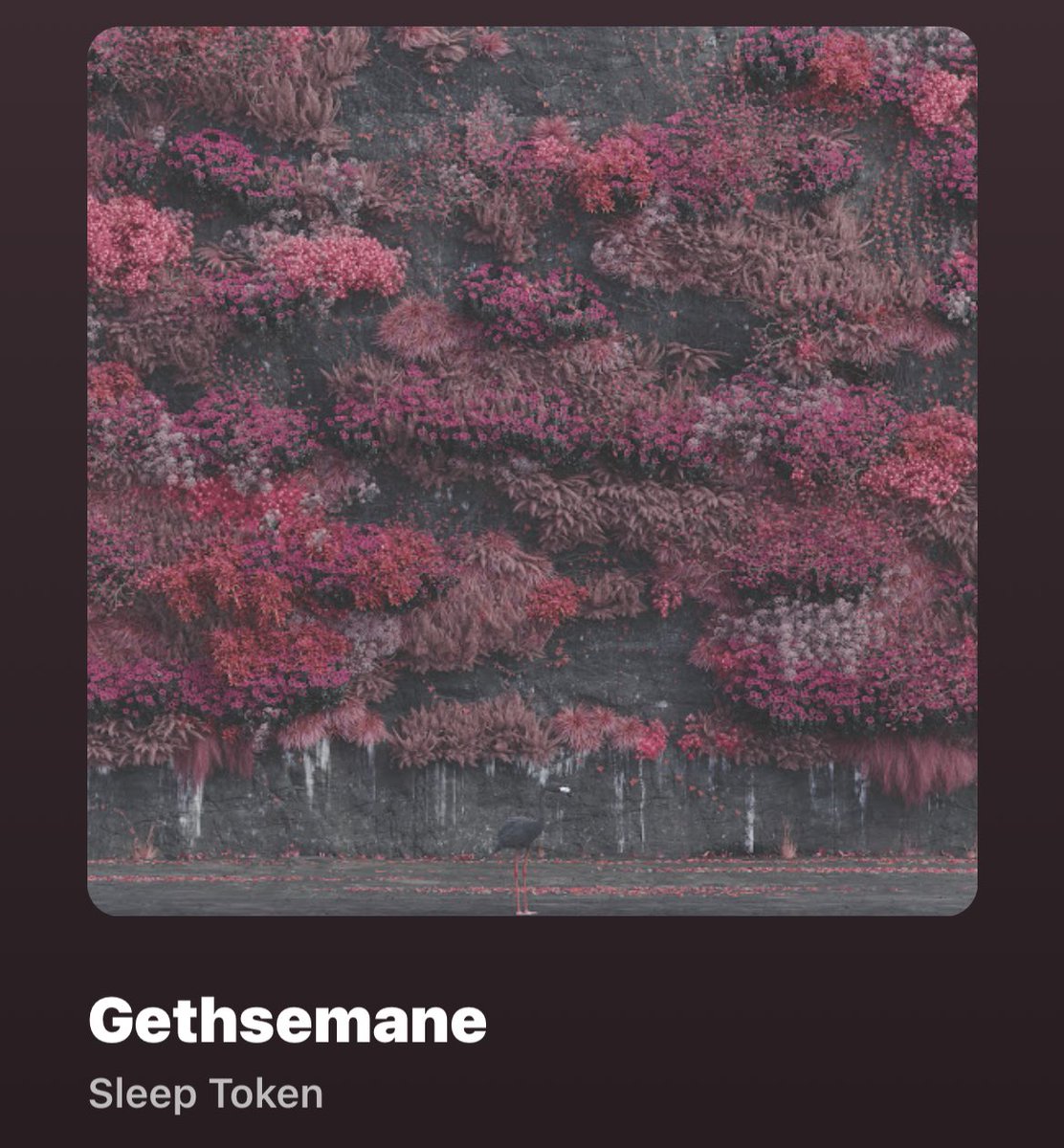 she 's just casually vibing
to ‘ Gethsemane ’ by Sleep Token .