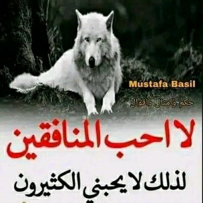 #صورة_ملف_شخصي_جديدة