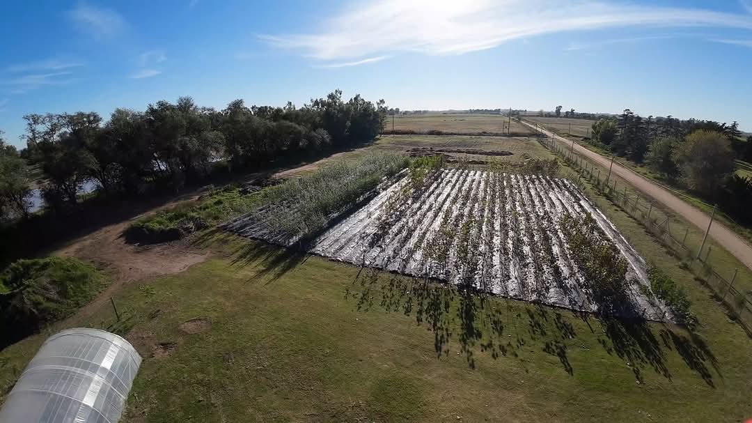 PRESENTACIÓN Y RECORRIDA EN EL REMODELADO Y AMPLIADO VIVERO MUNICIPAL, UN SALTO DE CALIDAD EN LA POLÍTICA DE ARBOLADO URBANO