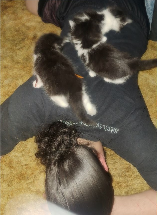 So Matt, what do you do after a stream? This. 😻😸