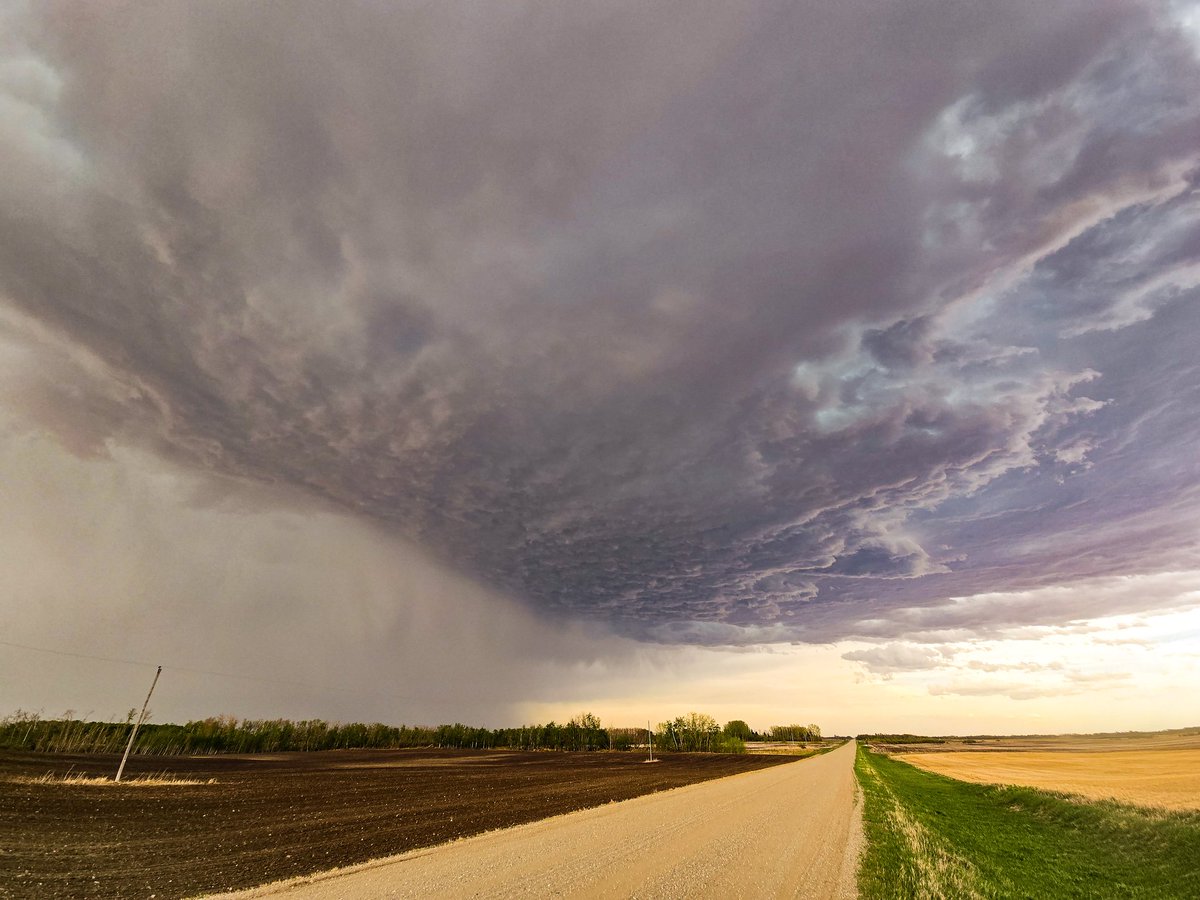 KeresteshTracy's tweet image. Springside. Tornado warmed storm #skstorm