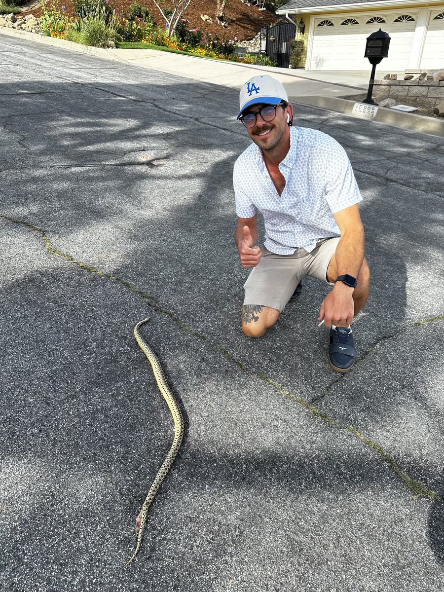 Madush's tweet image. Apparently dragons live on my street. We slay dragons tho amirite #conqueror