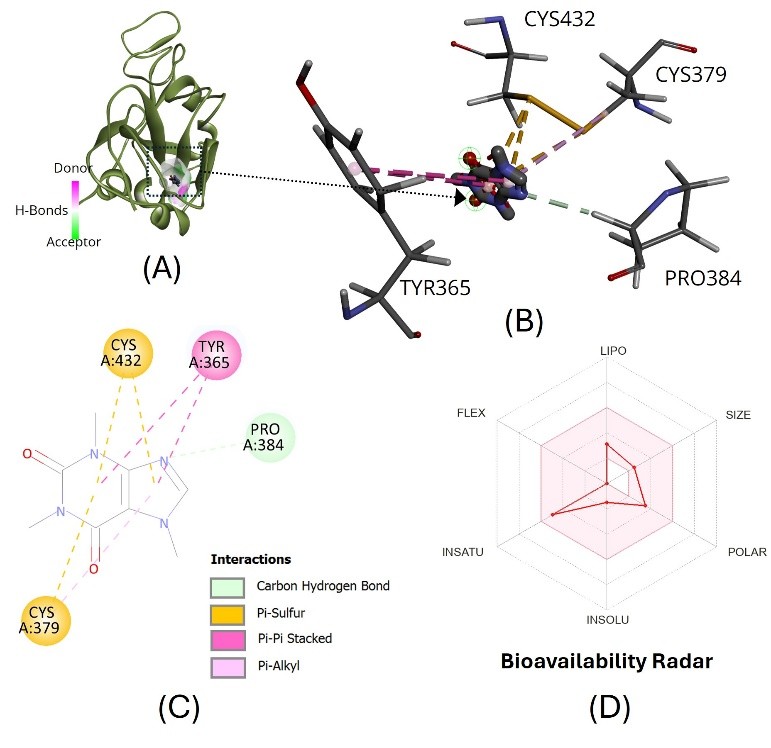 Computational drug discovery: Exploring natural products targeting SARS-CoV-2
eurekalert.org/news-releases/…
＃NAIST ＃奈良先端大