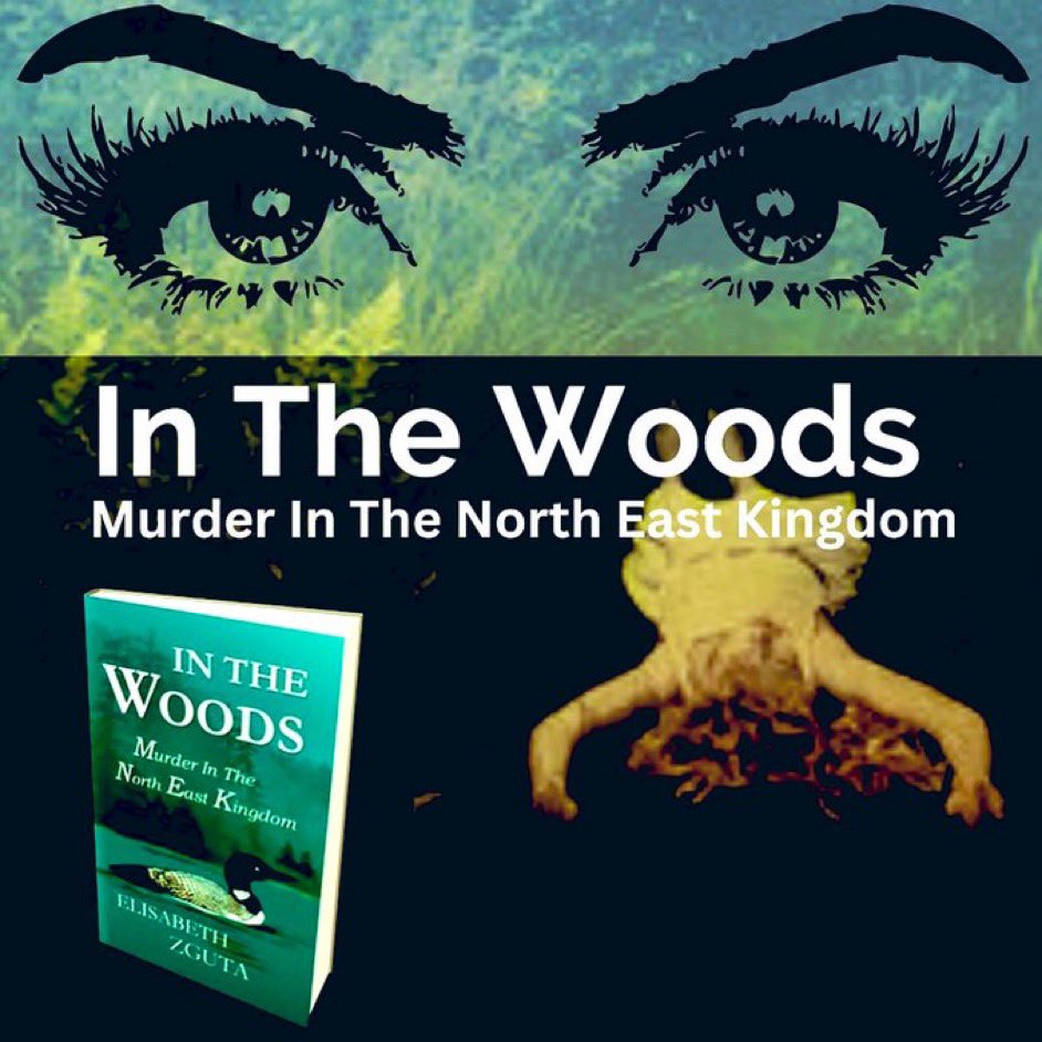 Samantha chases a killer…pulled by her Abenaki heritage, she’s  afraid of what would happen after opening that doorway, and tapping into her tribal gift.  
Could it help to discover the truth?  About the killer…or herself? 
amazon.com/WOODS-Murder-N… 
#MurderMystery #crimethriller