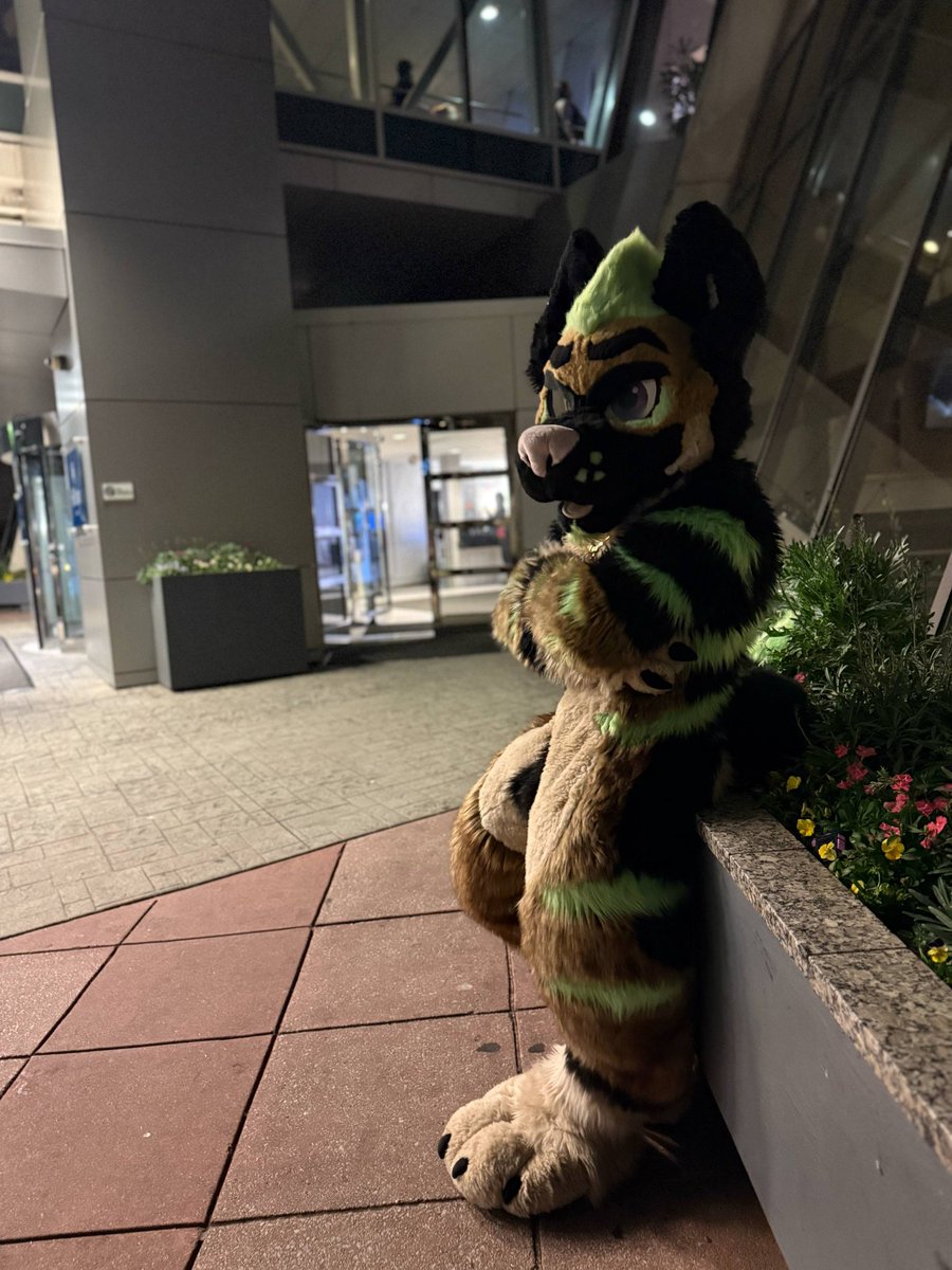 Thank u all for an amazing time. I do apologize if i was a little socially anxious it's my first con being sober as I have fought with heavy alcoholism for years. I'm learning to have more self-care/control, I still had a great time i hope you did as well😊 🔜AC 
#FWA2025