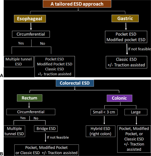 In this Review Article, Shaimaa Elkholy et al identify "Different endoscopic submucosal dissection techniques: a tailored approach." videogie.org/article/S2468-…

#GITwitter