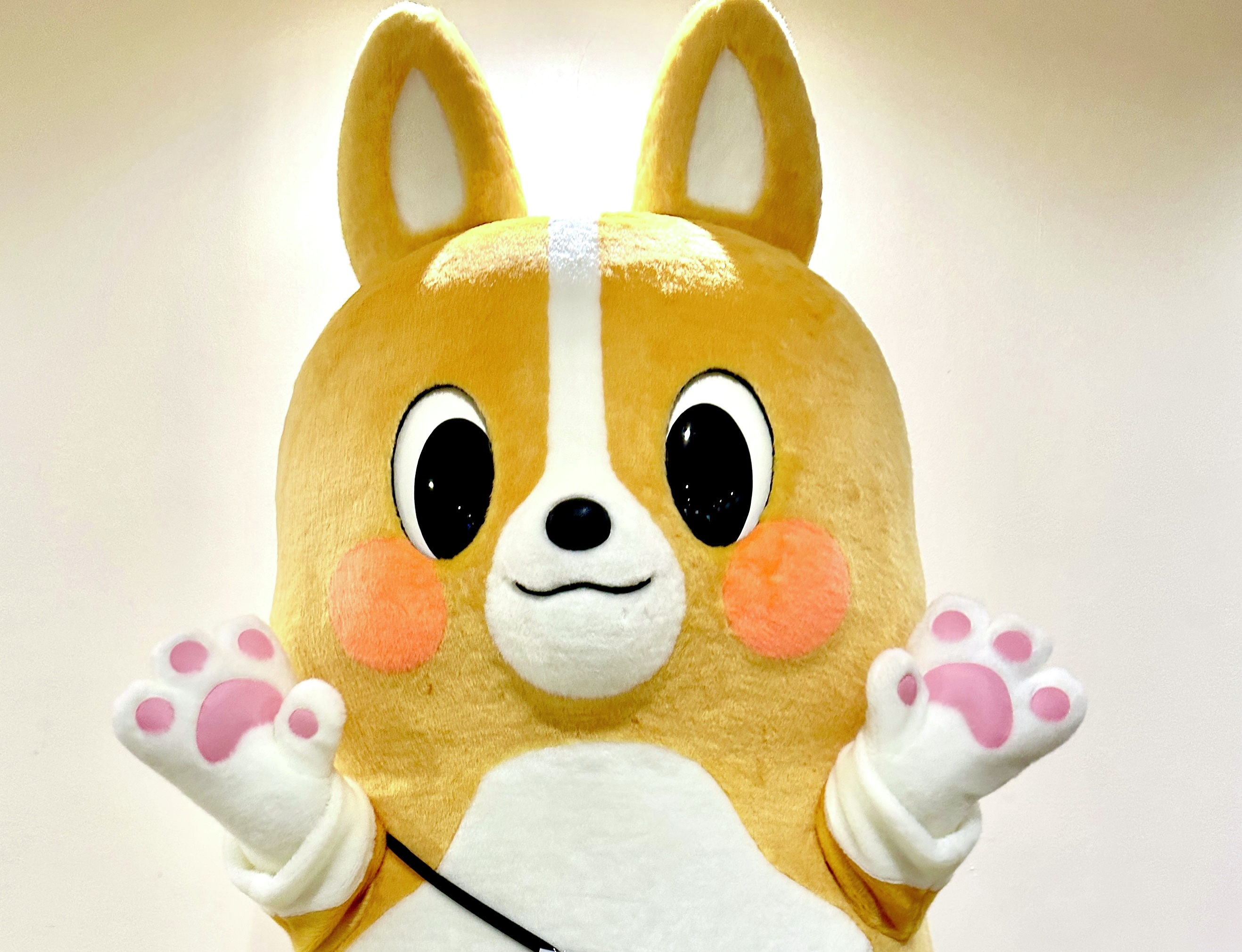 コーギーと森の仲間達 予告動画】劇場版アニメ「ゴーちゃん。～モコとちんじゅうの森の