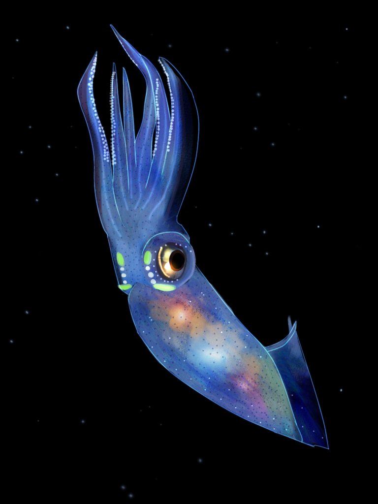 iridescent_bug's tweet image. #squid #art 

🫶
