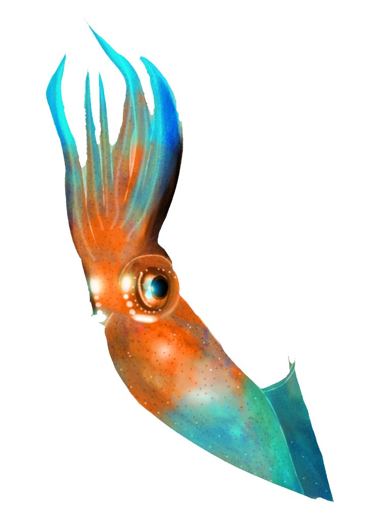 iridescent_bug's tweet image. #squid #art 

🫶
