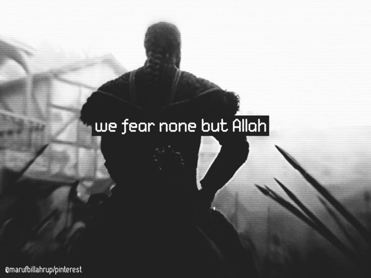 Syeda (@syeda_______) on Twitter photo 