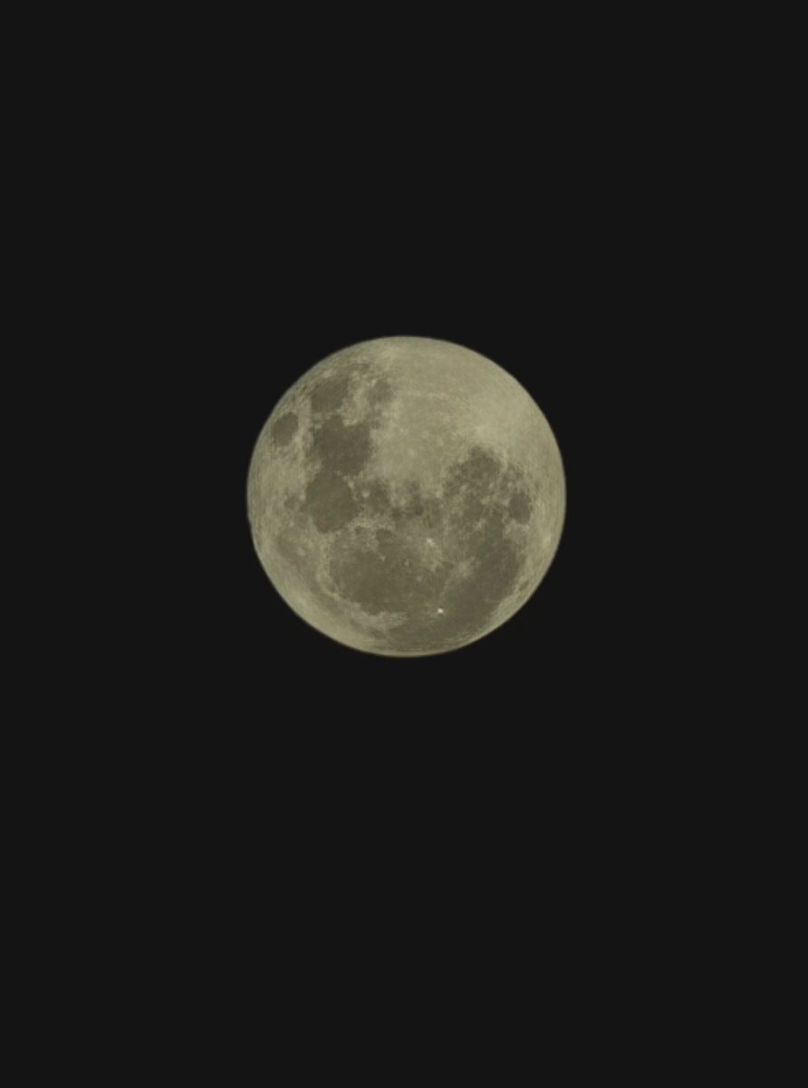 ¿Ya vieron la Luna? 🩶