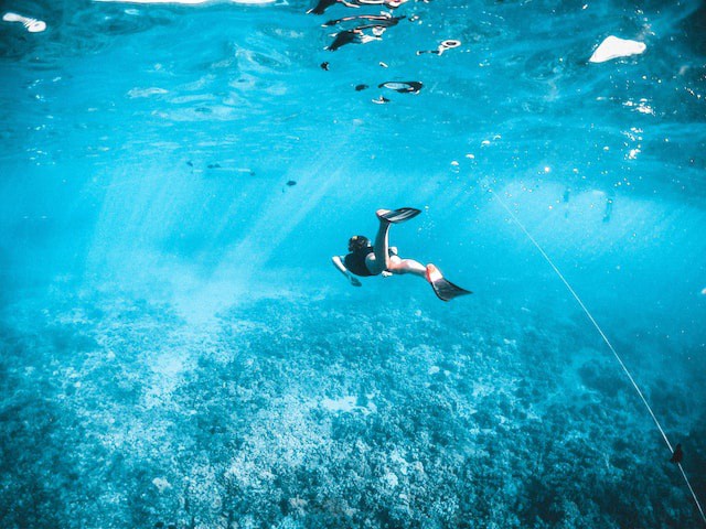trvlintention's tweet photo. Snorkeling in Maui is a great way to get a closer look at the abundant variety of fish and sea creatures inhabiting the Hawaiian waters. Grab our detailed guide!

Read more 👉 https://t.co/hnhDckzfUw

#maui #snorkeling #familytravel https://t.co/UBbwuuDaw8