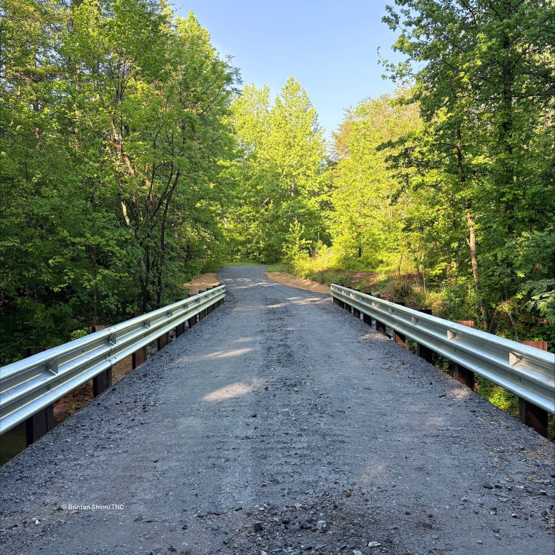 NatureConservancySC tweet media