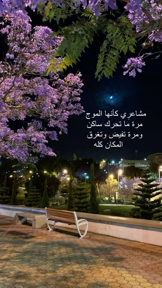 #بوح_ليالي_الصيف