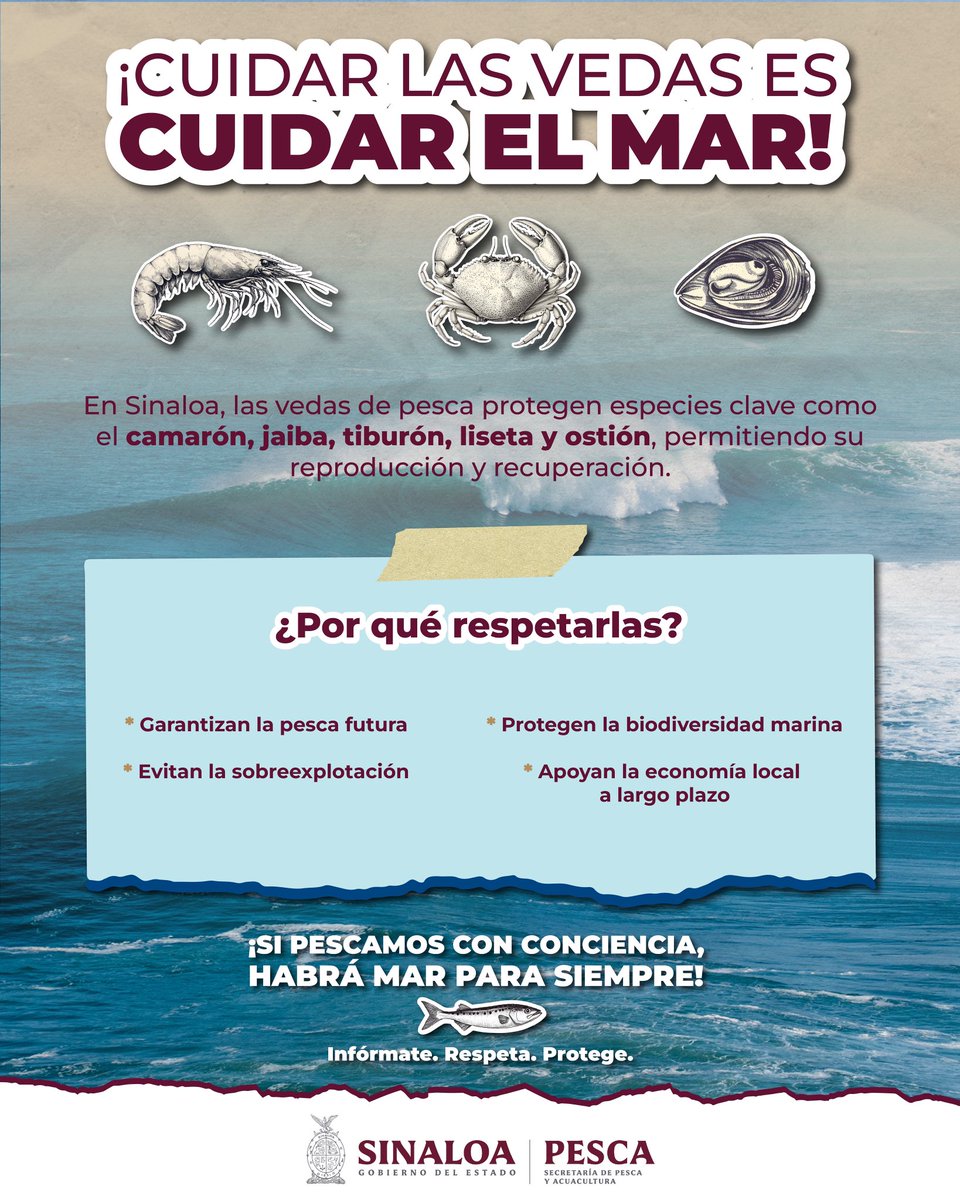 ¡Cuidar las vedas es cuidar el mar!🌊
✅ Garantizan la pesca futura
⛔ Evitan la sobreexplotación
🌊 Protegen la biodiversidad marina
⚓ Apoyan la economía local a largo plazo
¡Si pescamos con conciencia, habrá mar para siempre!😉🎣
ℹ️ Infórmate. Respeta. Protege.🙌🏻
