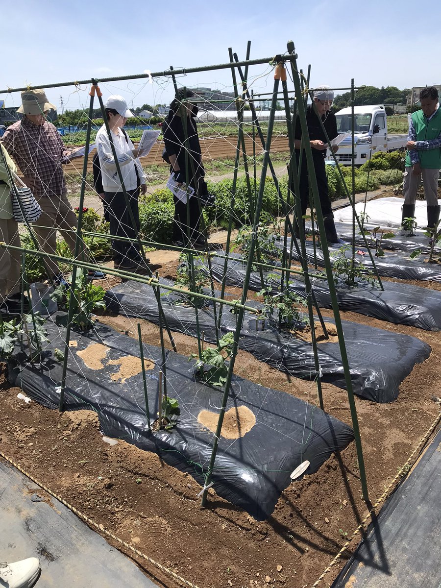 agripark_wako's tweet photo. 5月11日、市民農園で野菜作りpart2の講習会が行われました。講師井口様、参加者19名で楽しく農作業を体験しました。 https://t.co/NDnbQReu4n