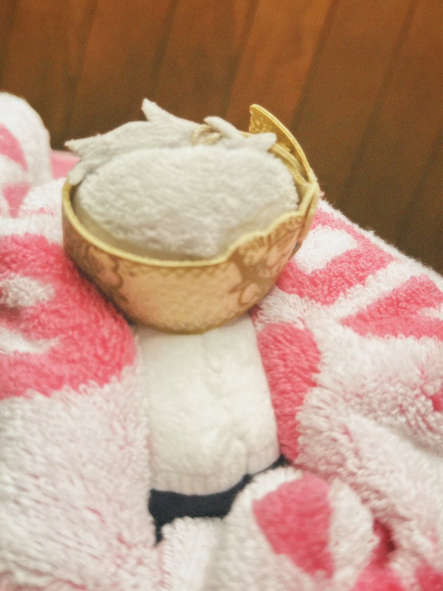 snowcupcake_nin's tweet image. 旅行の前に洗われるぬい