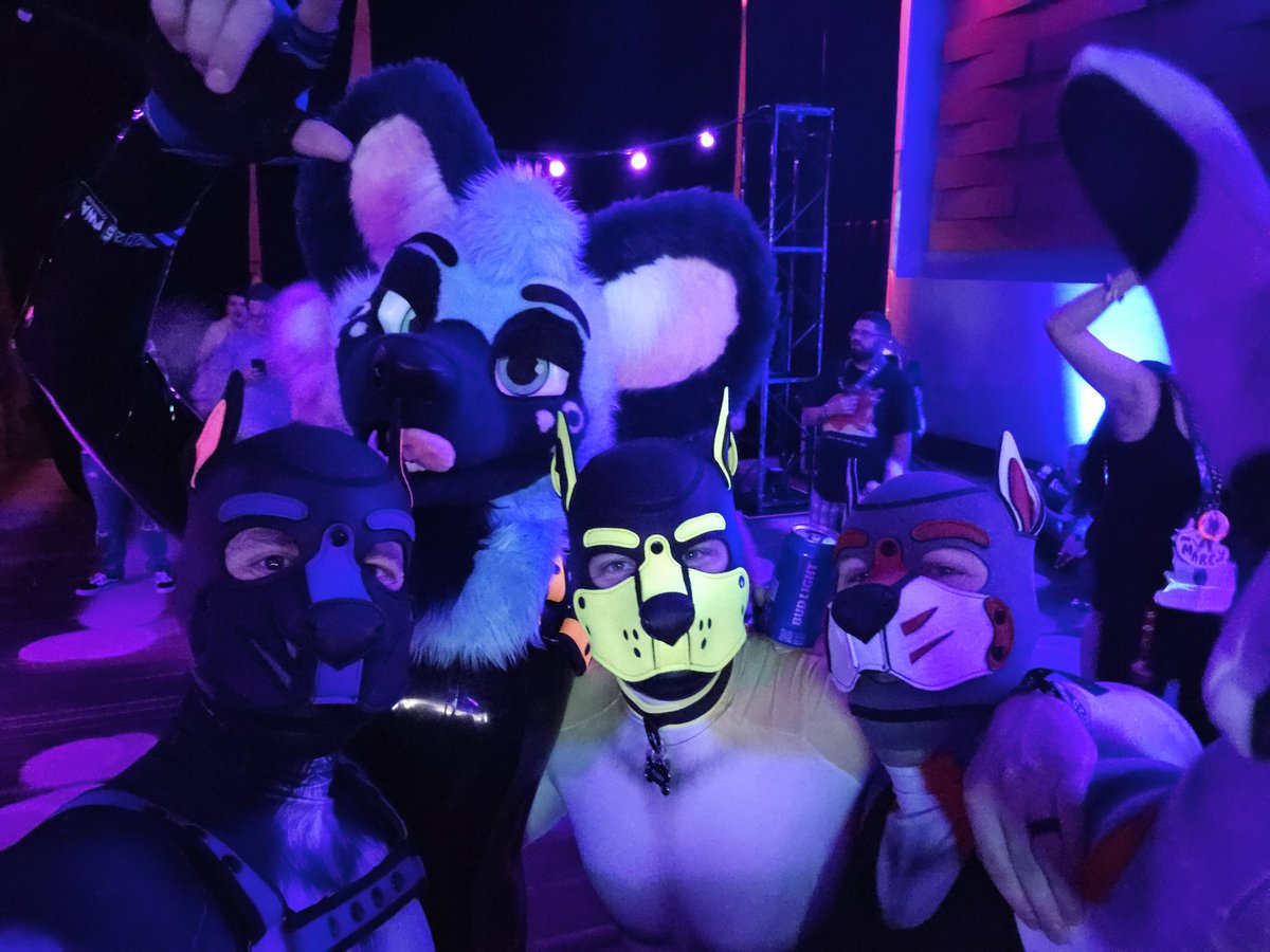 Back home from FWA and had an excellent time. Club FWA is single handedly the reason I'll go back next year. The fact that I got to mosh to Limp Bizkit at a furry convention is absolutely insane 🤯

#FWA2025