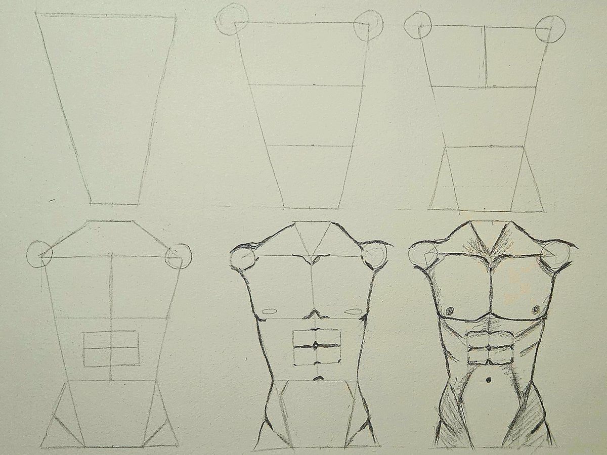 SentinelWisp's tweet image. #132 Squares → muscles. It’s science.
#365challenge #SketchDaily #LearnToDraw #AnatomySketch #MuscleStudy #ArtBasics