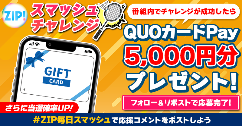 ハイキューショーセツバン ハイキュー!! 39巻セット(ハイキュー