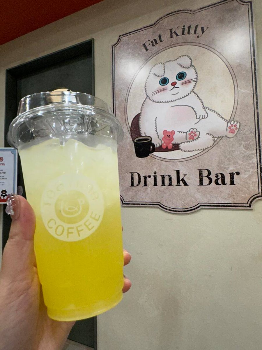 RonvdgsRowe's tweet image. Myeongdong, petting cats, coffee shops