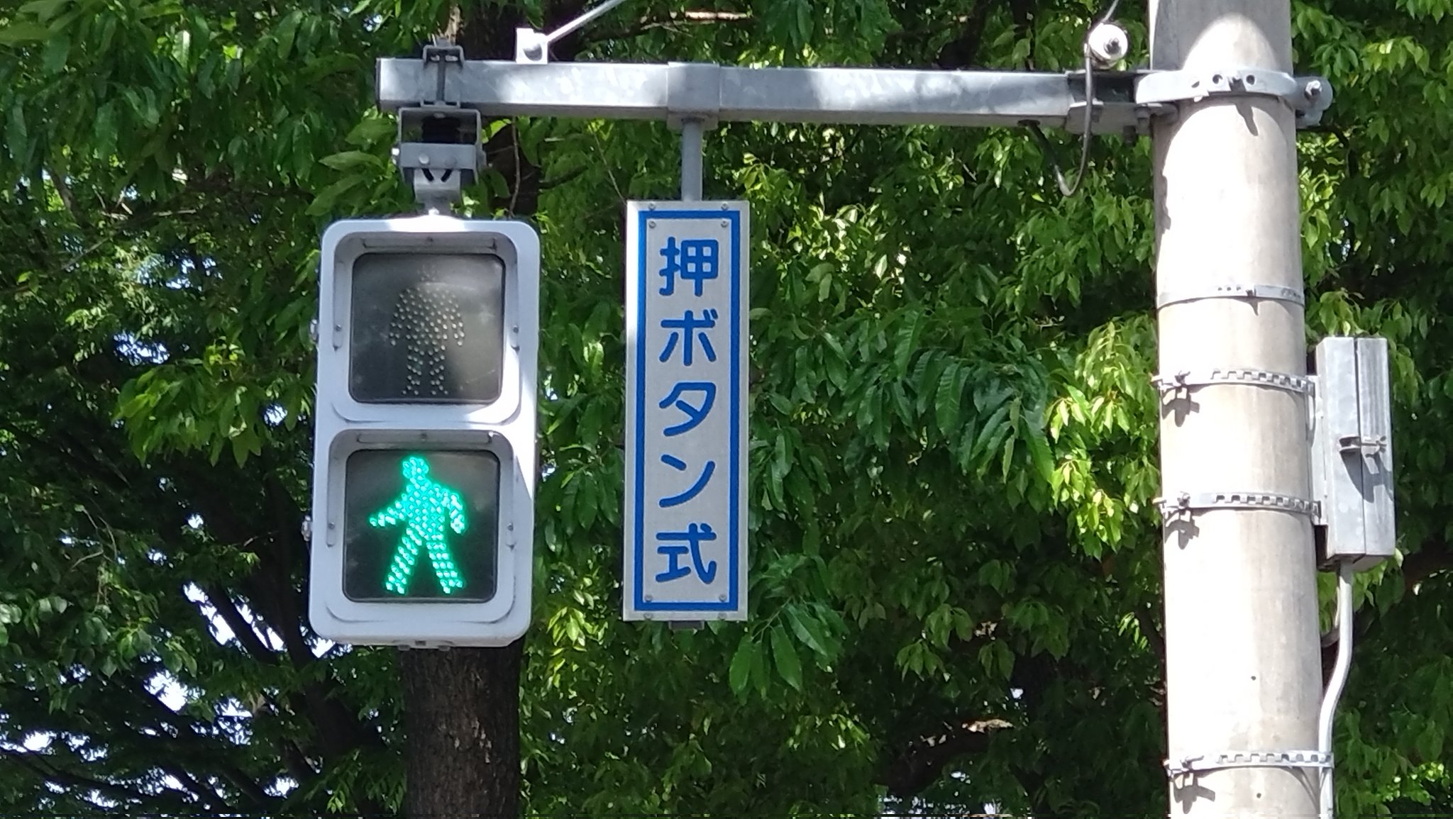 海外限定スパイク販売 茨城信号(いばしん) (@Ibaraki_SIGNAL) X / UNION ARENA(ユニオンアリーナ)