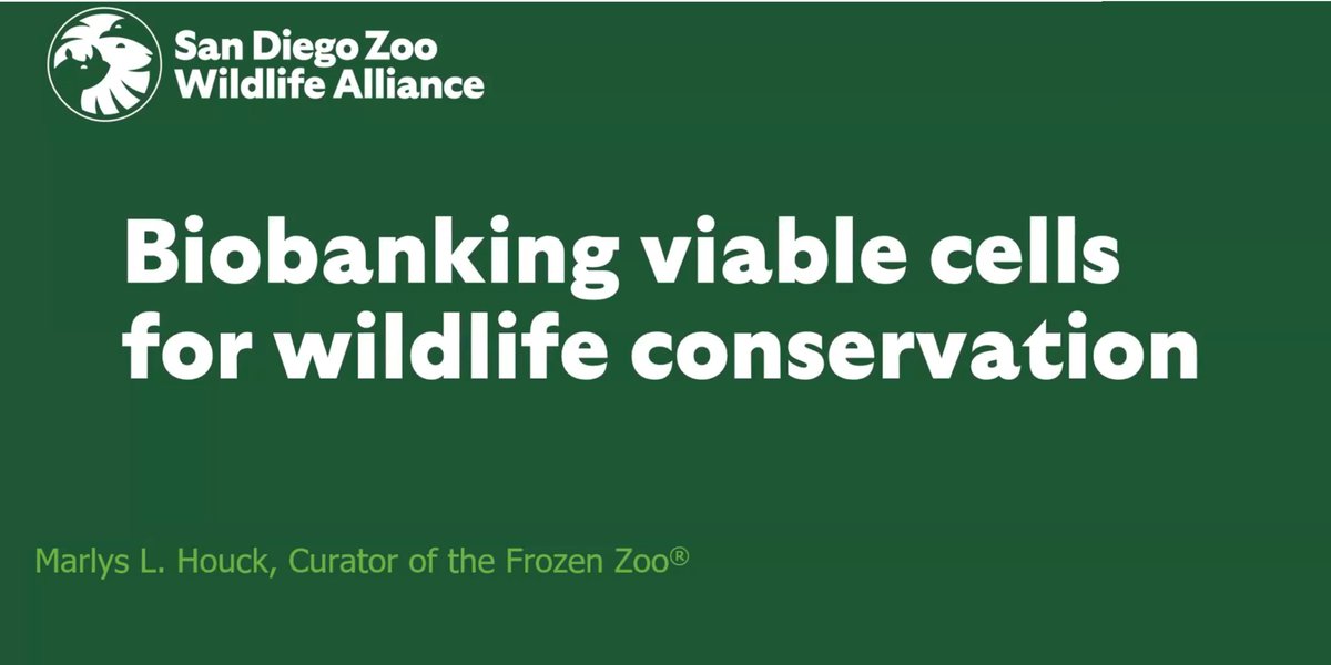 TAKosch's tweet image. In April, the AGC hosted an excellent seminar by Marlys Houck from the San Diego Frozen Zoo @sandiegozoo.
👉You can watch Marlys' talk and the many others we have lined up for the year by joining the AGC at go.unimelb.edu.au/k2ss