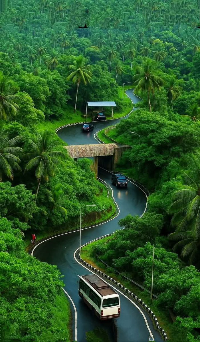 Good morning dear frnd
Enjoy your day