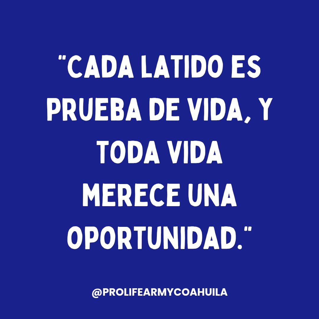 Lunes con L de Latido
Porque no hay sonido más poderoso que el primer latido.
En apenas semanas de gestación, un corazón comienza a latir y con él, inicia una historia irrepetible.
Cada latido es vida. Cada vida importa. 🩵⚔️

#LunesConL #Latido #CadaVidaCuenta #ProVida