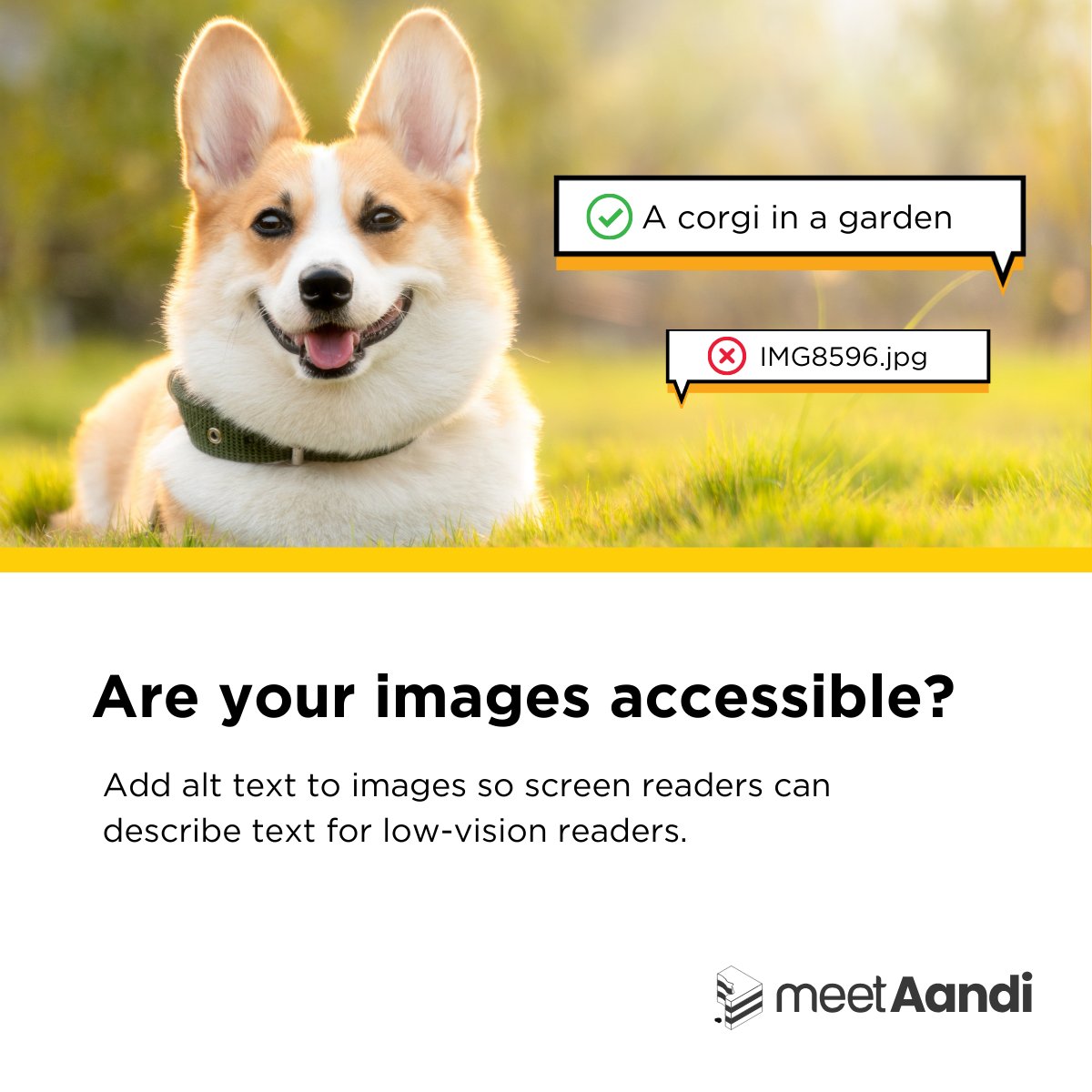 TaggedPDF's tweet image. Alt text helps screen readers describe images for people with low vision. It only takes a moment to add, but it makes a big difference!

#DigitalAccessibility
#InclusiveDesign