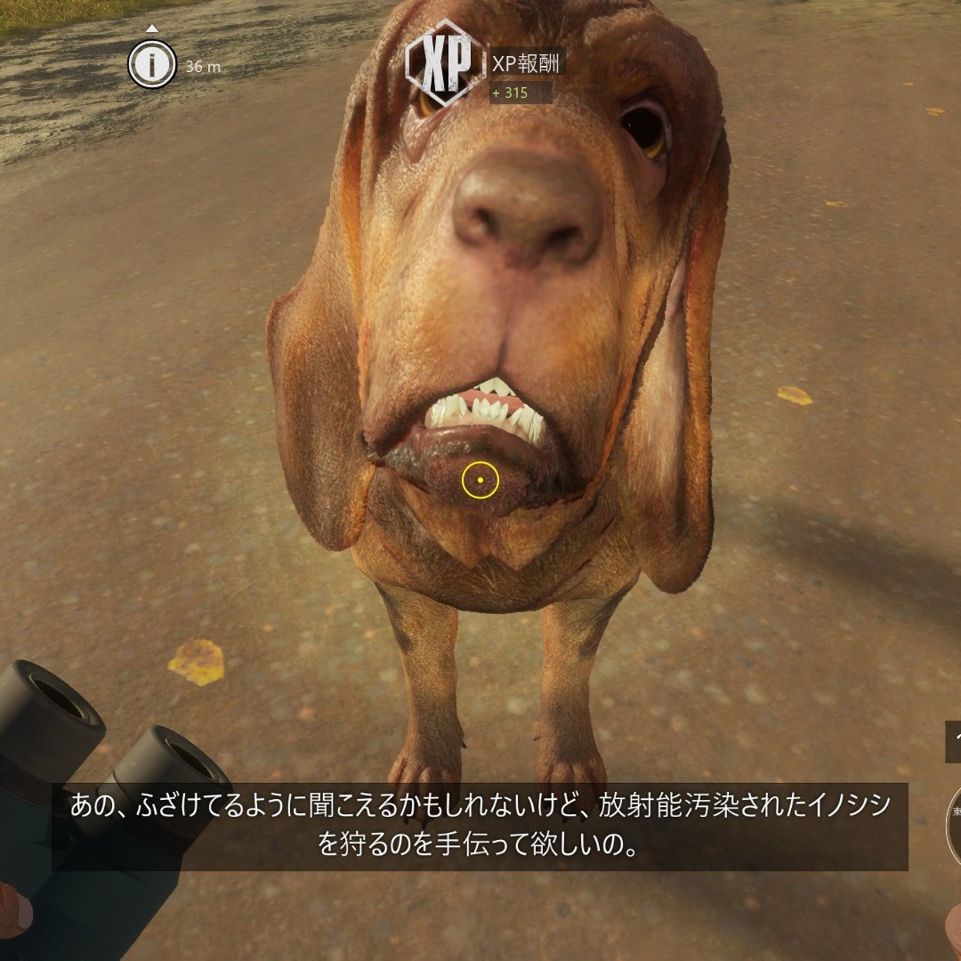 chu_chu_jp's tweet photo. 多分「トレスラー・放射能汚染されたイノシシ」でヒルシュフェルデンでのストーリー目標は全て終了と思われるので次回配信はチェルノブイリで被爆したキノコ喰ったブタさん射殺します🐗
#theHunterCalloftheWild
#ザハンターコールオブザワイルド
#thehuntercotw
#イノシシ
#SusScrofa
#WildBoar https://t.co/aIlChFeB87