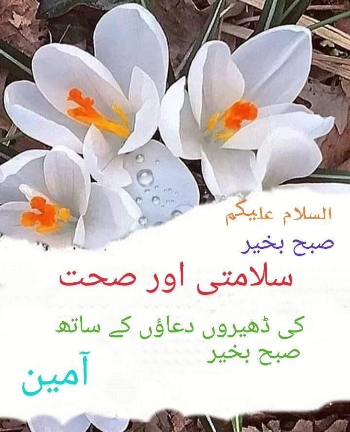 السلام علیکم ورحمتہ اللہ وبرکاتہ