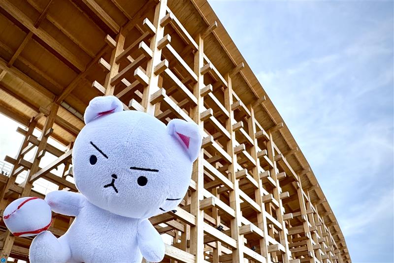 ЯiИA🐼りな👑🐃 𝕊𝕒𝕥𝕠𝕔𝕙𝕚!!!🌏ヌー眠中は万博へ