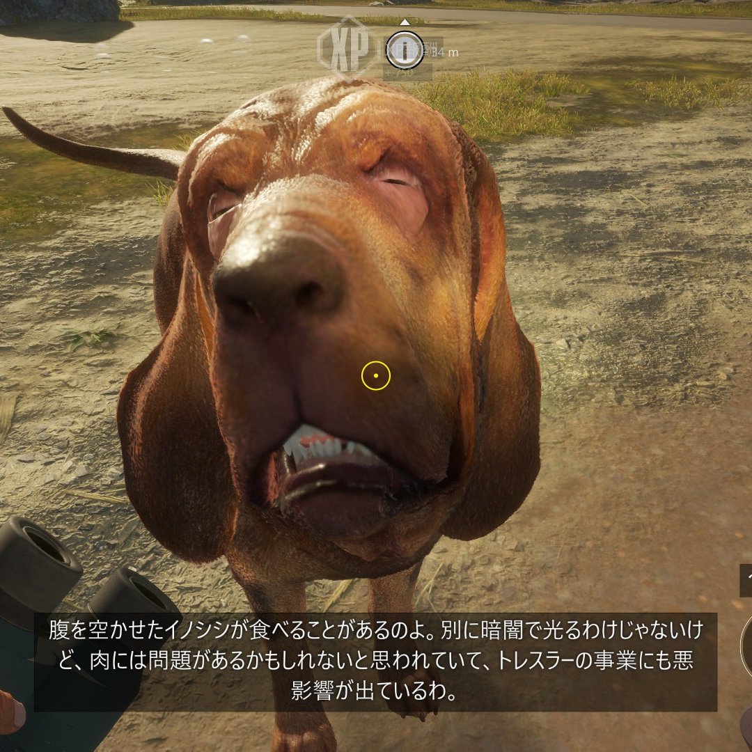 chu_chu_jp's tweet photo. 多分「トレスラー・放射能汚染されたイノシシ」でヒルシュフェルデンでのストーリー目標は全て終了と思われるので次回配信はチェルノブイリで被爆したキノコ喰ったブタさん射殺します🐗
#theHunterCalloftheWild
#ザハンターコールオブザワイルド
#thehuntercotw
#イノシシ
#SusScrofa
#WildBoar https://t.co/aIlChFeB87