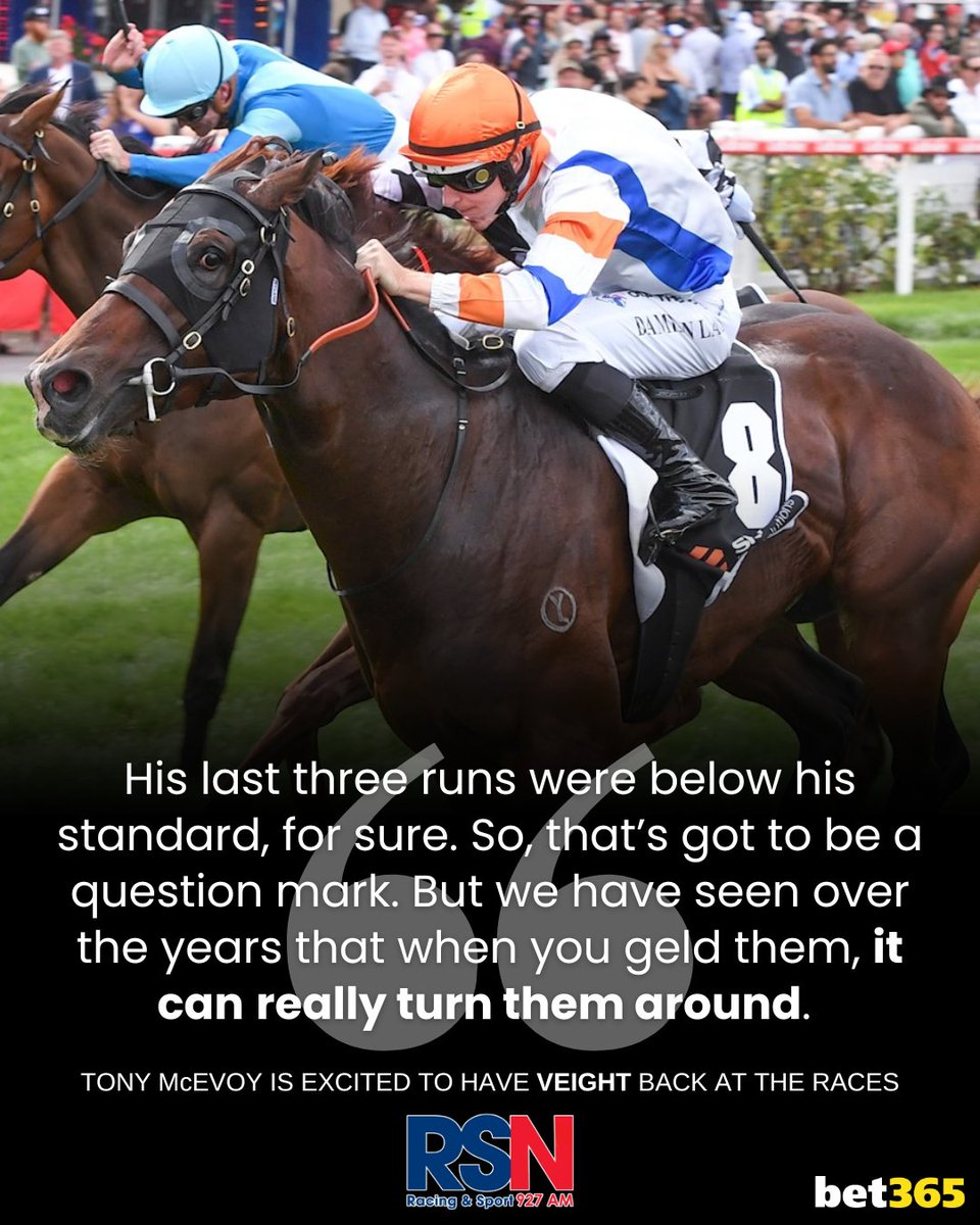 RSN Racing & Sport (@rsn927) on Twitter photo The gelded Group 1 winner is back in action this weekend... 👀
LATEST 👉 rsn.net.au/news/rsn-podca…
<a href="/mcevoymitchell/">McEvoy Mitchell Racing</a> | <a href="/m_felgate/">Michael Felgate</a> | <a href="/bet365_aus/">bet365 Australia</a> | #RacingPulse The gelded Group 1 winner is back in action this weekend... 👀
LATEST 👉 rsn.net.au/news/rsn-podca…
<a href="/mcevoymitchell/">McEvoy Mitchell Racing</a> | <a href="/m_felgate/">Michael Felgate</a> | <a href="/bet365_aus/">bet365 Australia</a> | #RacingPulse