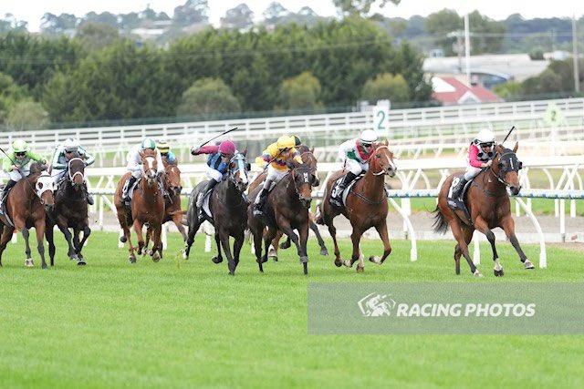 One runner at Moe Racing Club this afternoon for the stable 🏇🏼
Good luck to her connections!

R4H11 Miss Tramell B Allen 57.5kg