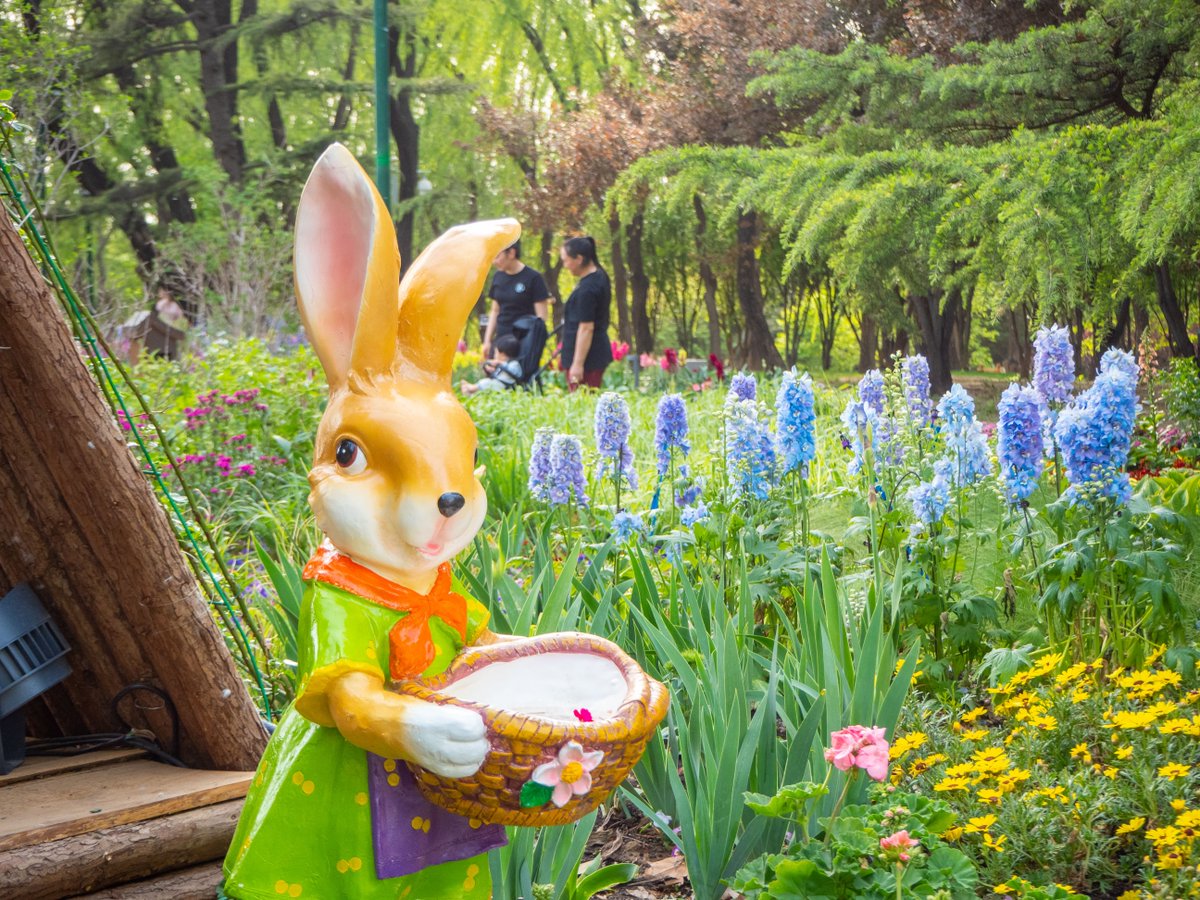 VisitBeijingcn's tweet photo. Nicknamed "#Monet’s Garden," this colorful corner of #HaidianPark charms visitors with its vivid blooms and artistic vibe—like stepping into a painting. A perfect spot to enjoy the season and nature’s beauty. #BeijingParks #ArtInThePark #VisitBeijing #Beijing https://t.co/QgRUZwG0H0