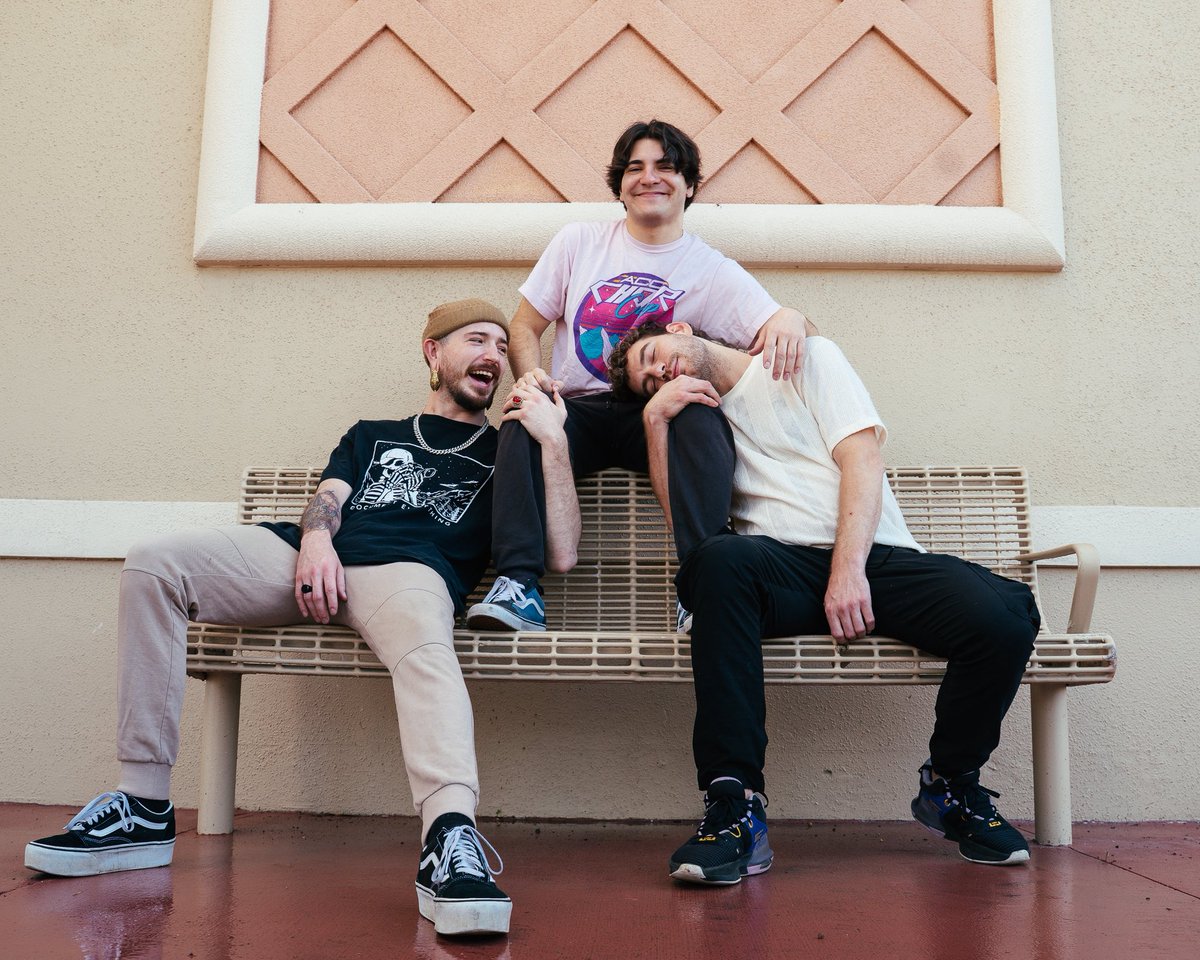 The Band Census tweet media