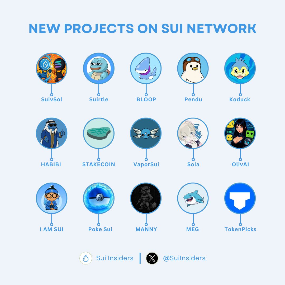 Sui Insiders💧 tweet media