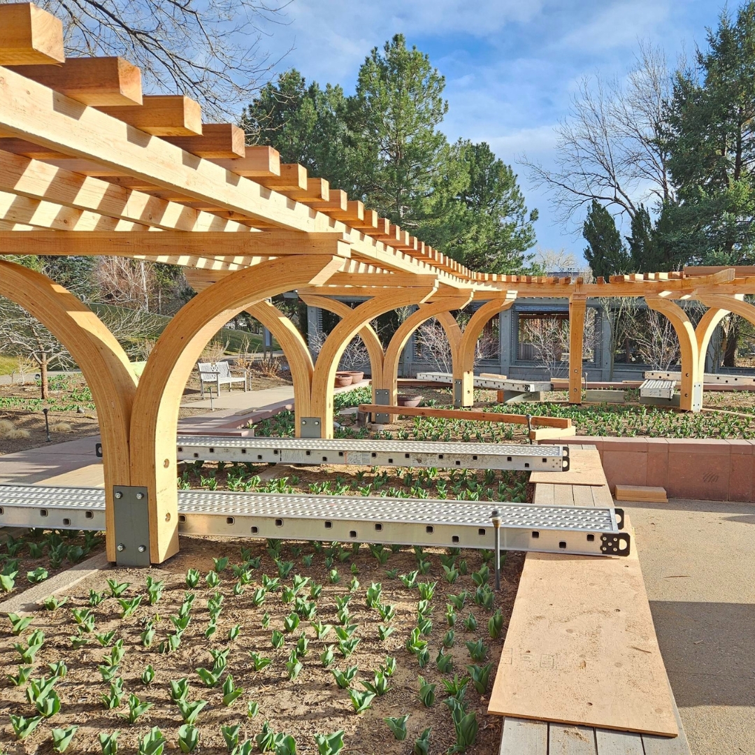 We’re excited to share a recent project at the Denver Botanic Gardens. This beautiful trellis installation is crafted from our resawn Douglas-fir.

Douglas-fir was chosen for its ability to withstand the outdoor elements as well as its natural warmth and harmony with the gardens.