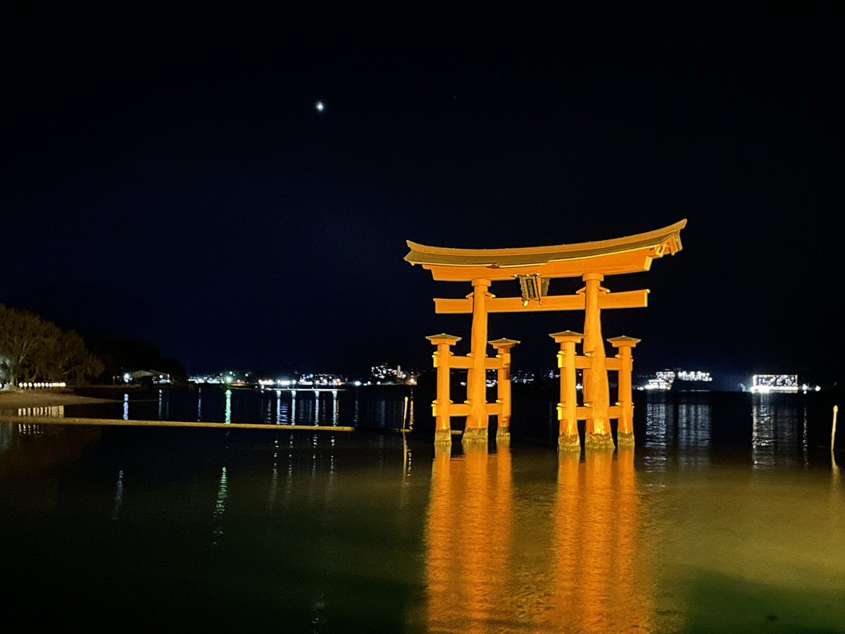 necoze_art's tweet image. 11月に広島・宮島で個展を開催するので下見に行ってきました。
詳細はYouTubeにUPしています🌱
youtu.be/g0H0rvA16CM
・宮島カキ子展 (NECOZE展vol.5)
2025年11月7(金)~11月11日(火)
10:00~18:00
※最終日11日は15時まで
場所:ぎゃらりぃ宮郷【広島】
@gallerymiyazato
#宮島