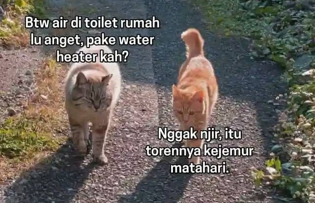 mana panas banget kek mau bikin kopi bjir