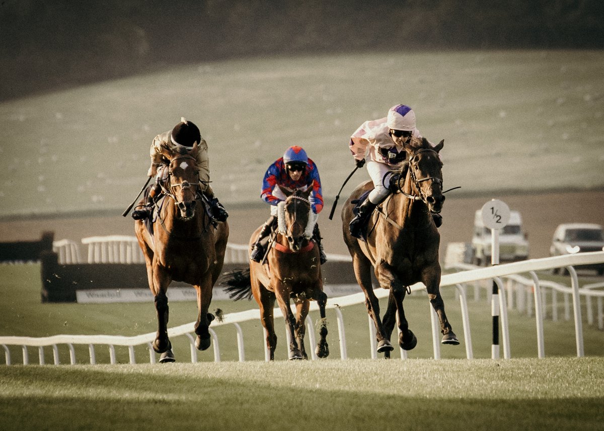 We're underway at 2.20pm today with 7 races - the going is GOOD (GOOD to FIRM in places). Dry and sunny day ahead. The card is sponsored by David Lucas Bookmakers - gates open at 12.20pm - tinyurl.com/ayf2mcsy