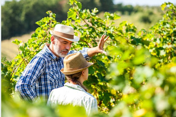 DESANGOSSE's tweet photo. 🌱 #MardiBiocontrôle : Black-rot en #viticulture ? 🍇
Le projet « Zéro black-rot » (2021-2024), mené par l’@vignevinfrance, @INRAE_France et les @ChambagriFrance, teste plus de 30 biosolutions durables pour accompagner les viticulteurs face à ce défi.⤵️
https://t.co/eLItlzUSPz https://t.co/kyz5ORMZbW