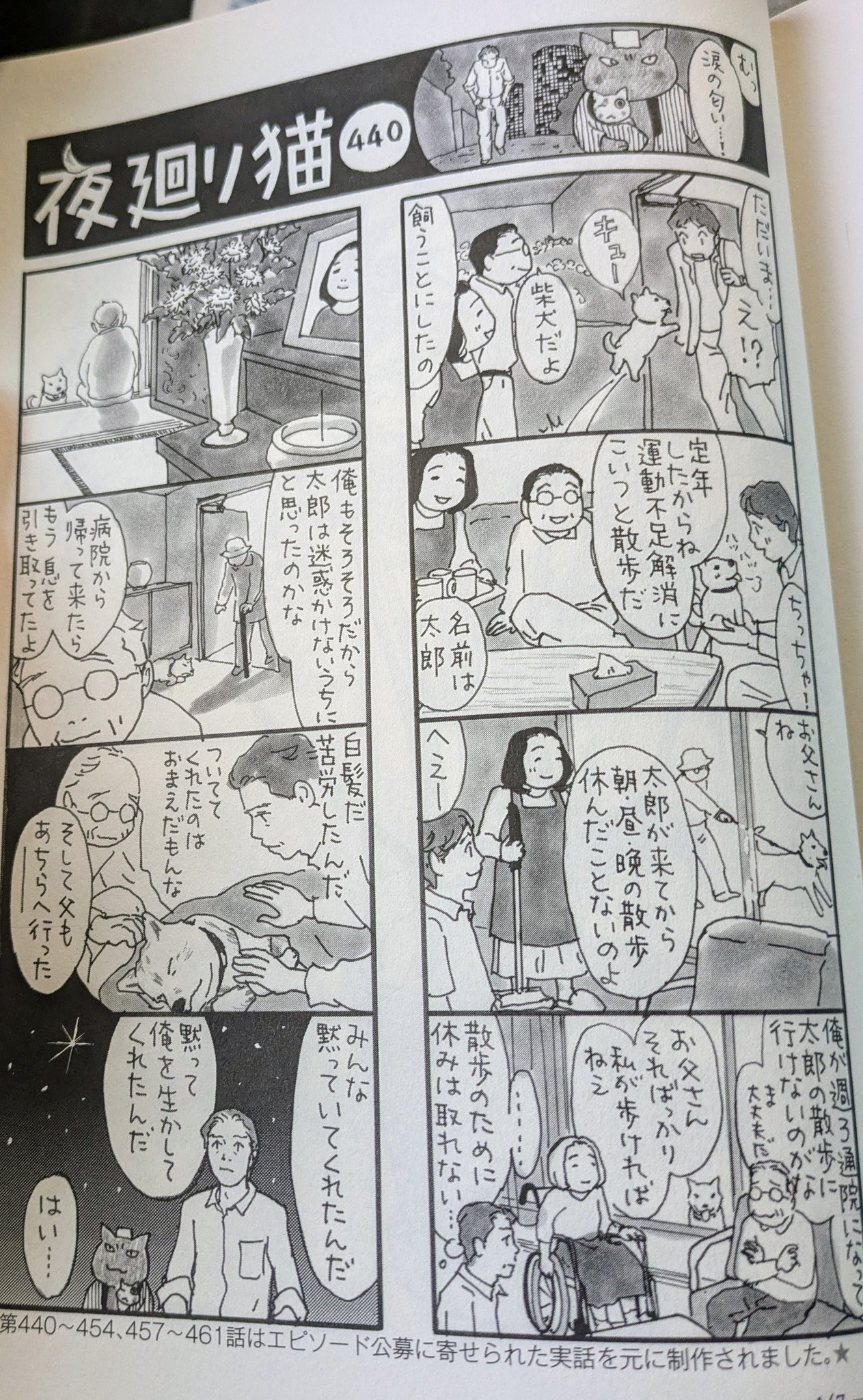 深谷かほる「夜廻り猫」11巻 (@fukaya91) / X