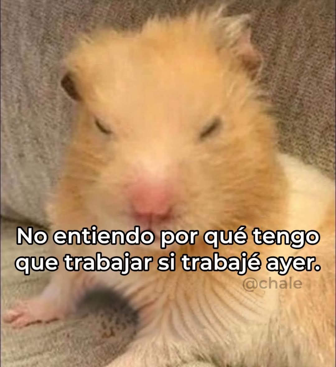En Júpiter (@en_jupiter_) on Twitter photo 