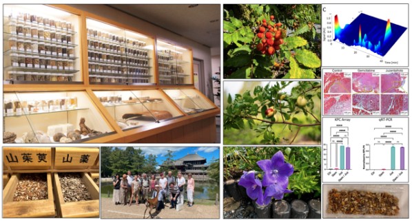 linkedin.com/posts/michael-…

📢 Registration is open for the Spices and Medicines Symposium being held on 12 June 2025.  Find out more below and register today!